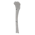 renderowanie kosci.349