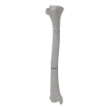 renderowanie kosci.347