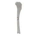 renderowanie kosci.355