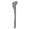 renderowanie kosci.356