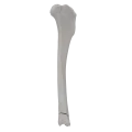 renderowanie kosci.365