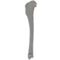 renderowanie kosci.366