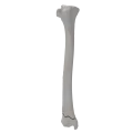 renderowanie kosci.363
