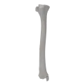 renderowanie kosci.367