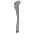 renderowanie kosci.370