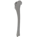 renderowanie kosci.376