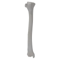 renderowanie kosci.373