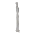 renderowanie kosci.404