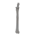 renderowanie kosci.415