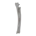 renderowanie kosci.412