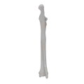 renderowanie kosci.414