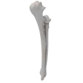 renderowanie kosci.416