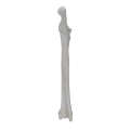renderowanie kosci.425