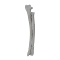 renderowanie kosci.437
