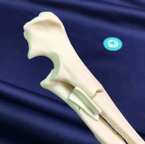 renderowanie kosci.451