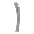 renderowanie kosci.447