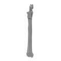 renderowanie kosci.450
