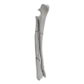 renderowanie kosci.468