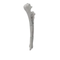 renderowanie kosci.471