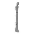 renderowanie kosci.470