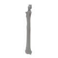 renderowanie kosci.455
