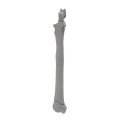 renderowanie kosci.460
