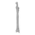 renderowanie kosci.459