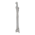 renderowanie kosci.464