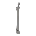 renderowanie kosci.465
