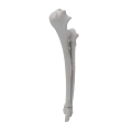 renderowanie kosci.466
