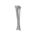 renderowanie kosci.479