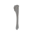 renderowanie kosci.486