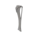 renderowanie kosci.487