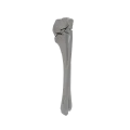 renderowanie kosci.493
