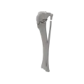 renderowanie kosci.488