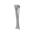 renderowanie kosci.489