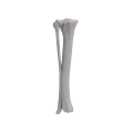 renderowanie kosci.495