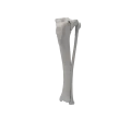 renderowanie kosci.498