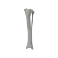 renderowanie kosci.500