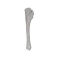 renderowanie kosci.508
