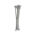 renderowanie kosci.507