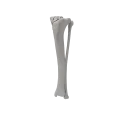 renderowanie kosci.505