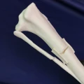 20200212_172247121_iOS