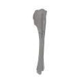 renderowanie kosci.523