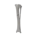 renderowanie kosci.520