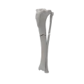 renderowanie kosci.524