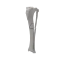renderowanie kosci.525