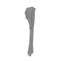 renderowanie kosci.529