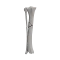 renderowanie kosci.527