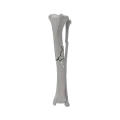 renderowanie kosci.530